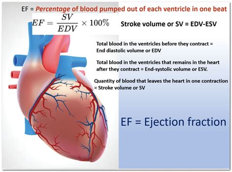 lv ejection fraction 60|how to assess ejection fraction.